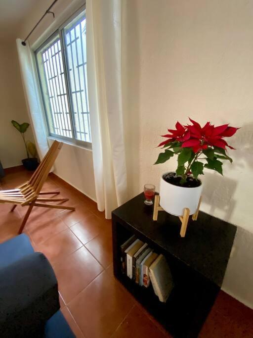 Appartement Peach35 Centrico, 5 Min De La Playa *